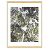 Mother Nature thumbnail
