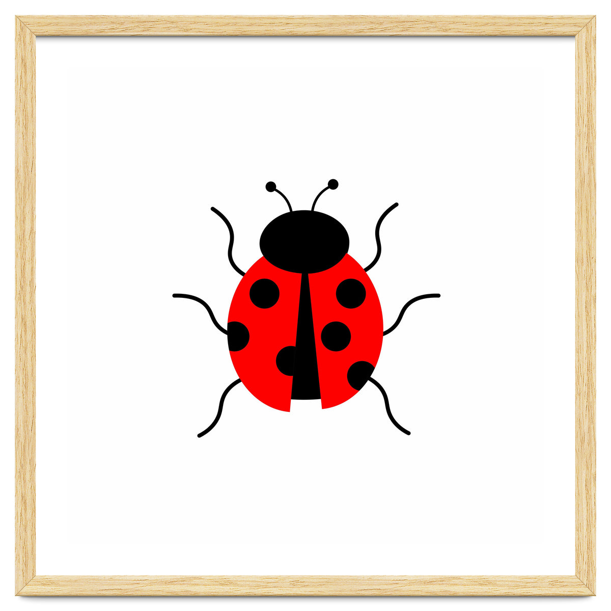 Lady Bug