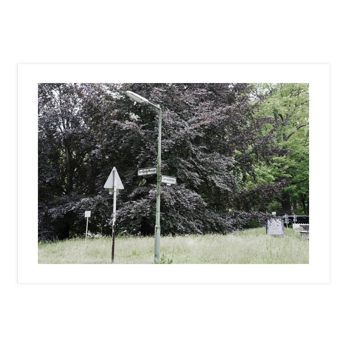 Signs at the corner of the street (Print Only)