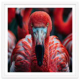 Close Up Flamingo Head With Bright Red Feathers thumbnail