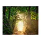 Hare in paradise (Print Only) thumbnail