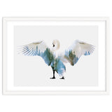 Swan thumbnail