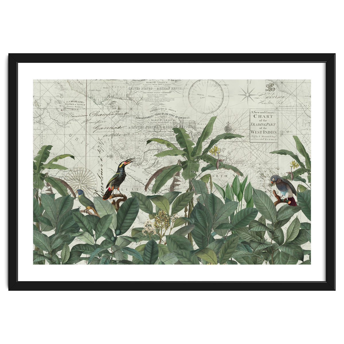 Explore The New World