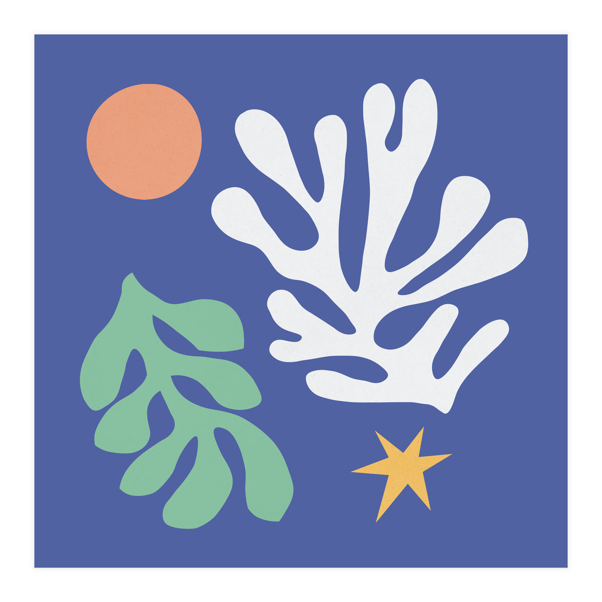 Floral matisse 2 (Print Only)