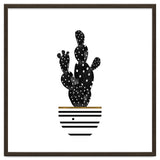 Black Cactus thumbnail
