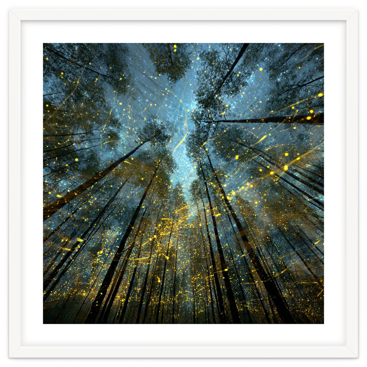 Enchanted Night Forest with Glowing Fireflies