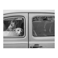 Dogs' cab (Print Only)