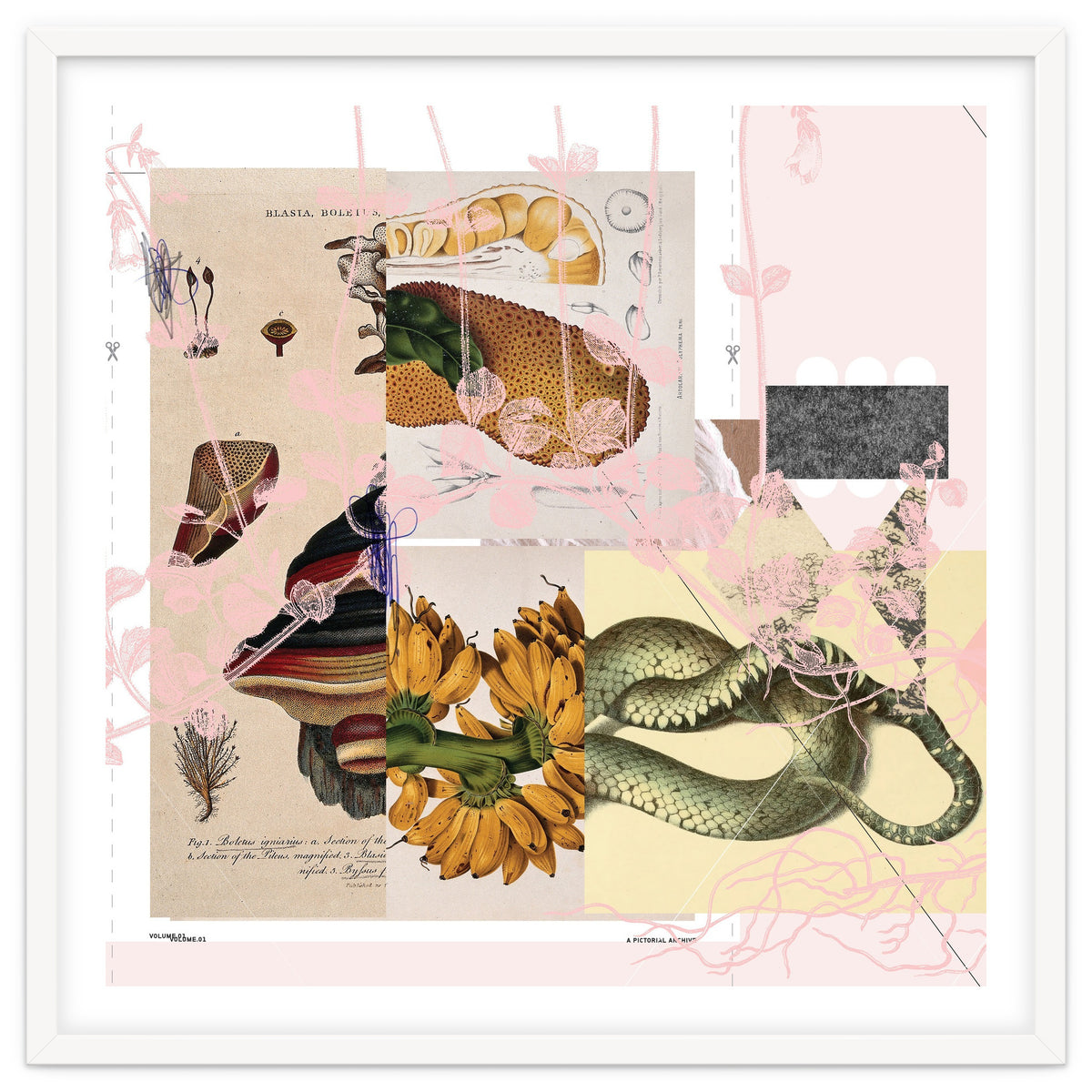 Abstract White Daydream Flower