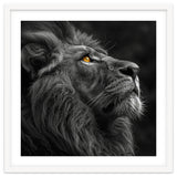 Majestic Lion Face Closeup Golden Eyes Black thumbnail