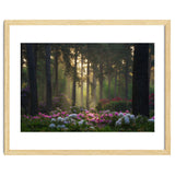 Rhododendron forest thumbnail