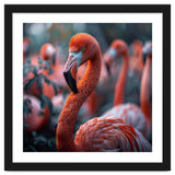 Beautiful Close Up Of A Pink Flamingo Bird thumbnail