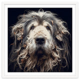 Old Dog 010 thumbnail
