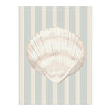 Sea shell (Print Only) thumbnail