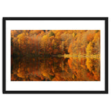 Autumn Reflections thumbnail