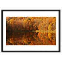 Autumn Reflections