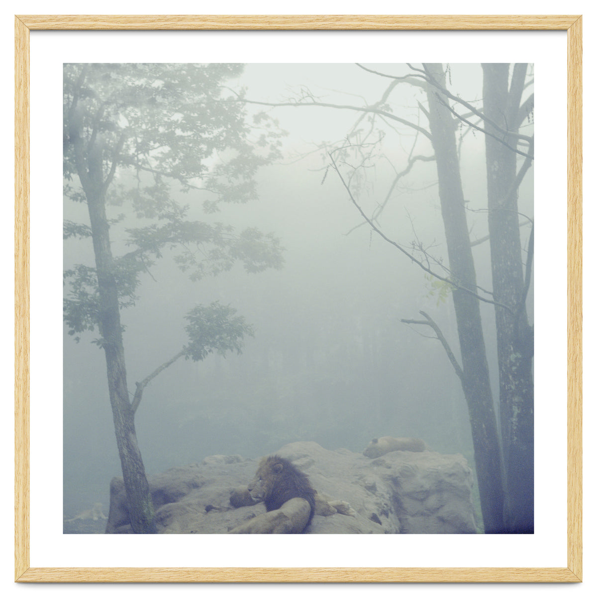 Silence of breath - 02