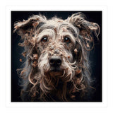Old Dog 09 (Print Only) thumbnail