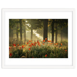 The poppy forest thumbnail