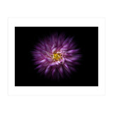 Backyard Flowers No 20 Color Flow Version (Print Only) thumbnail