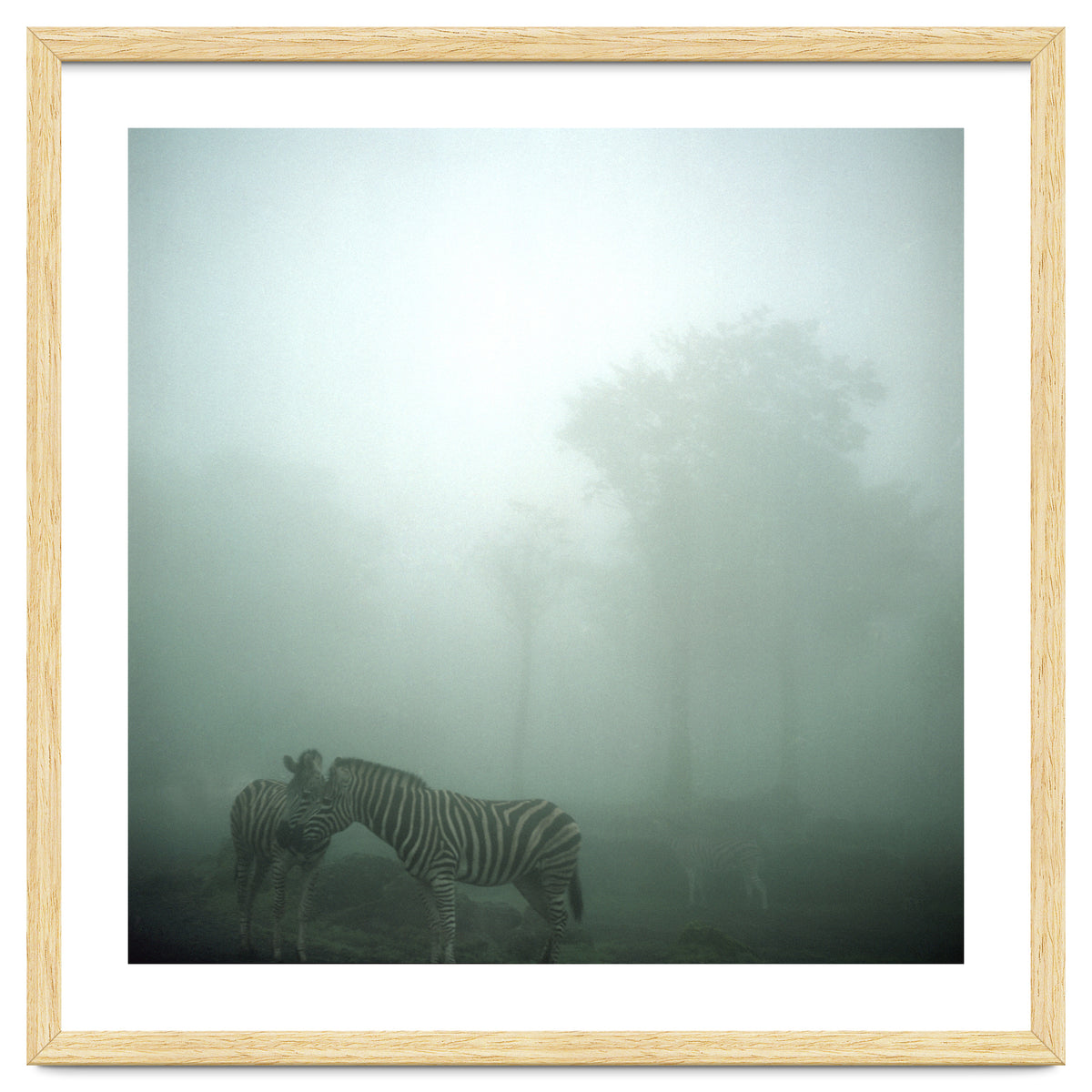 Silence of breath - 15