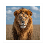 Majestic Lion In African Savanna Under Blue Sky (Print Only) thumbnail