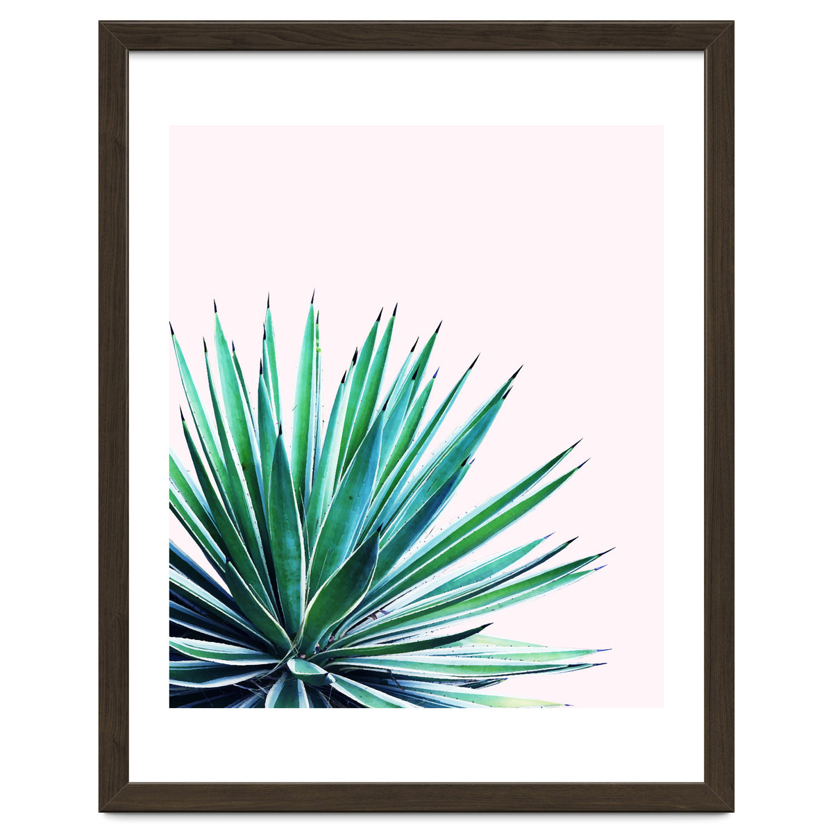 Agave Love #society6 #decor #buyart