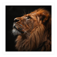 Majestic Lion Portrait Profile Majestic Beast (Print Only)