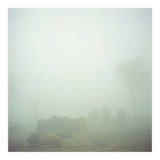 Silence of breath - 03 (Print Only) thumbnail