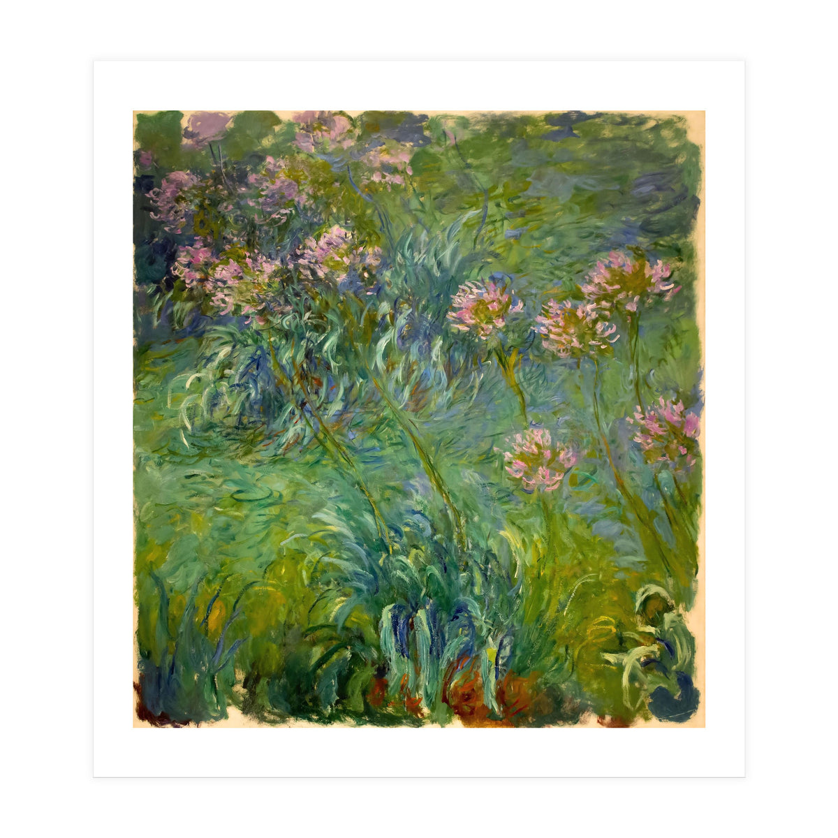 Claude Monet (1840-1926). Agapanthus. (Print Only)
