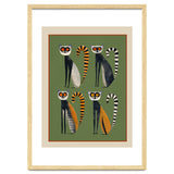 Striped Lemurs thumbnail