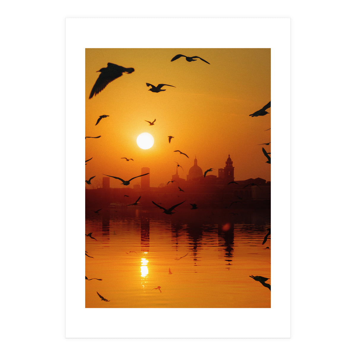 Charming Birds (Print Only)