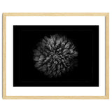 Backyard Flowers In Black And White No 68 with Border thumbnail