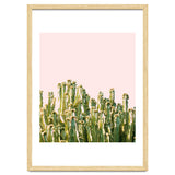 Cactus Blush #society6 #decor #buyart thumbnail