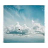Airborne (Print Only) thumbnail