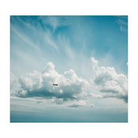 Airborne (Print Only)