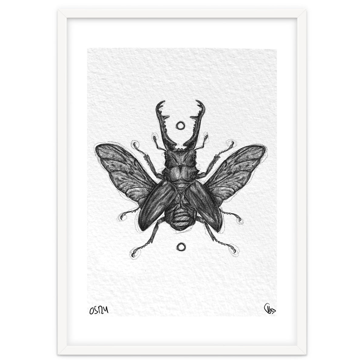 Giraffen Hirschkäfer