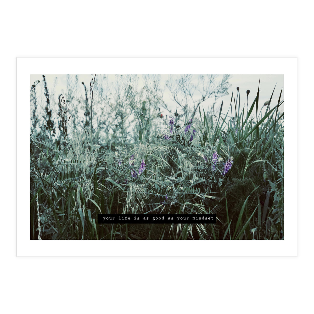 Photography - Summer Garden (Print Only)