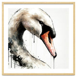Watercolor Swan Portrait thumbnail