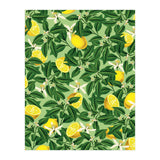 Lemonade Garden, Green Fresh Lemon Botanical Illustration, Vibrant Summer Tropical Fruit Nature (Print Only) thumbnail