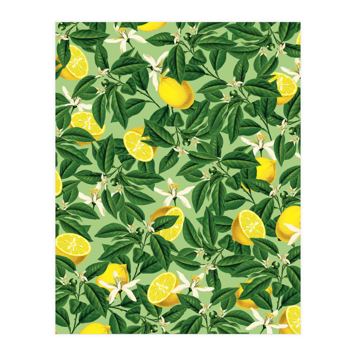 Lemonade Garden, Green Fresh Lemon Botanical Illustration, Vibrant Summer Tropical Fruit Nature (Print Only)