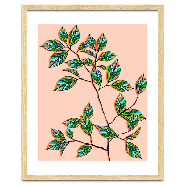 Peach Fuzz Botanical, Nature Blush Plants Illustration, Eclectic Color Of The Year 2024, Bohemian Leaves Vintage