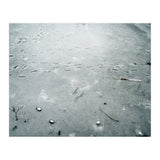 Frozen ice pond (Print Only) thumbnail
