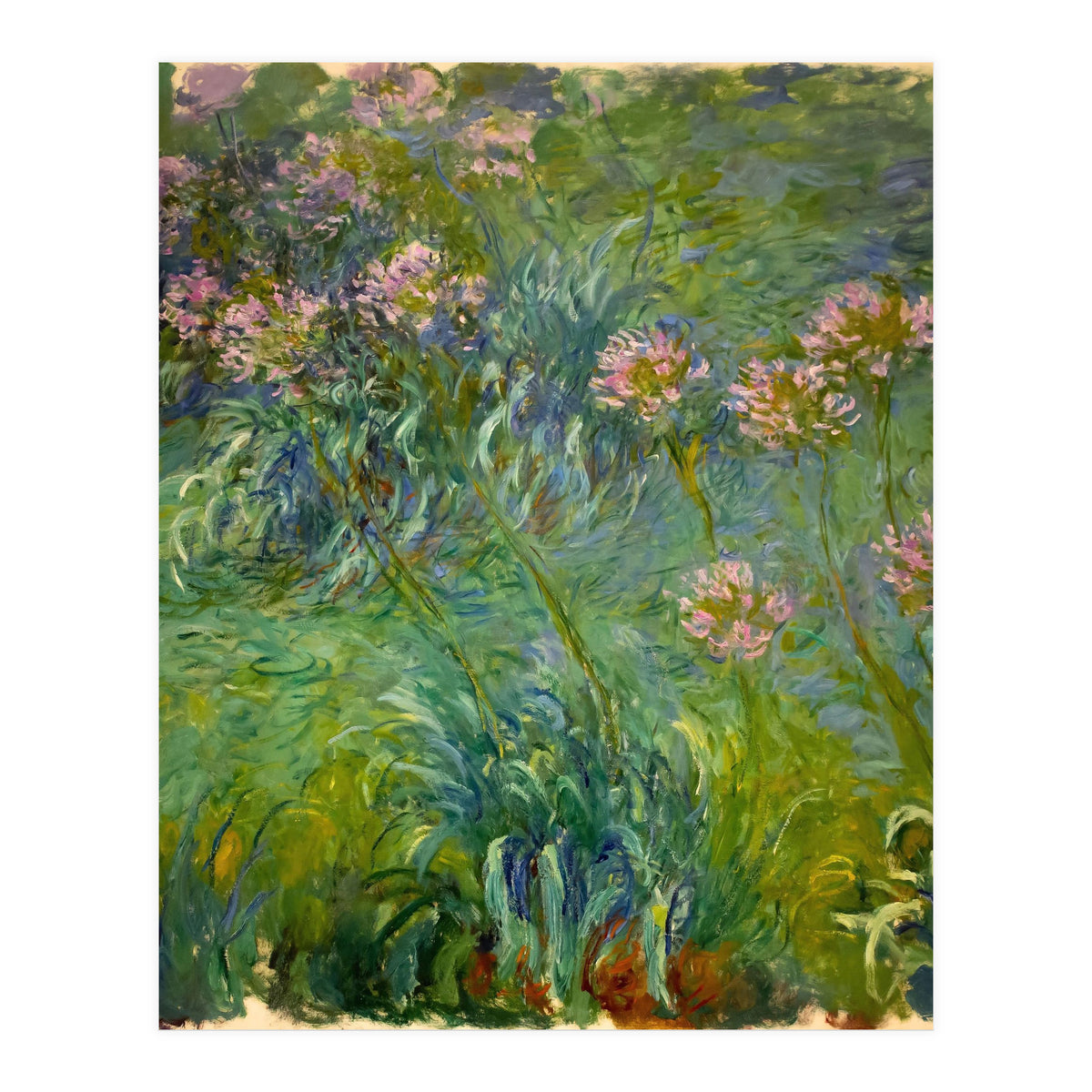 Claude Monet (1840-1926). Agapanthus. (Print Only)