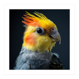 Cockatiel Parrot Bird Head (Print Only) thumbnail