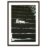 Cat On Stairs thumbnail