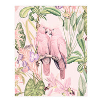 Pink Cockatoos in Love (Print Only)