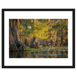 Heron in the swamps thumbnail