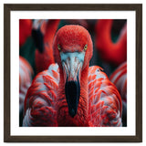 Close Up Flamingo Head With Bright Red Feathers thumbnail