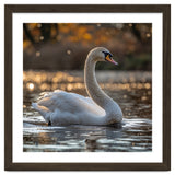 Graceful Swan Gliding On Reflective Water Surface thumbnail