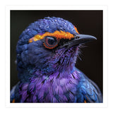 Close Up Portrait Of A Vibrant Exotic Bird (Print Only) thumbnail